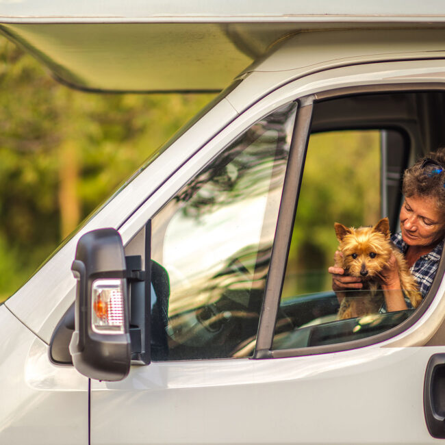 woman-traveling-with-her-dog-inside-camper-van-2022-12-16-11-46-49-utc